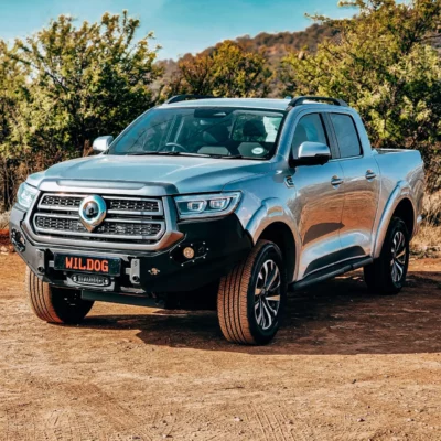 GWM P300